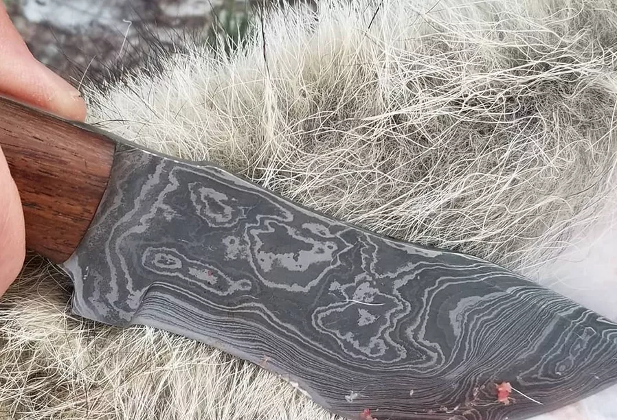 Unleash the Wild: The Best Knife and Techniques for Skinning a Coyote