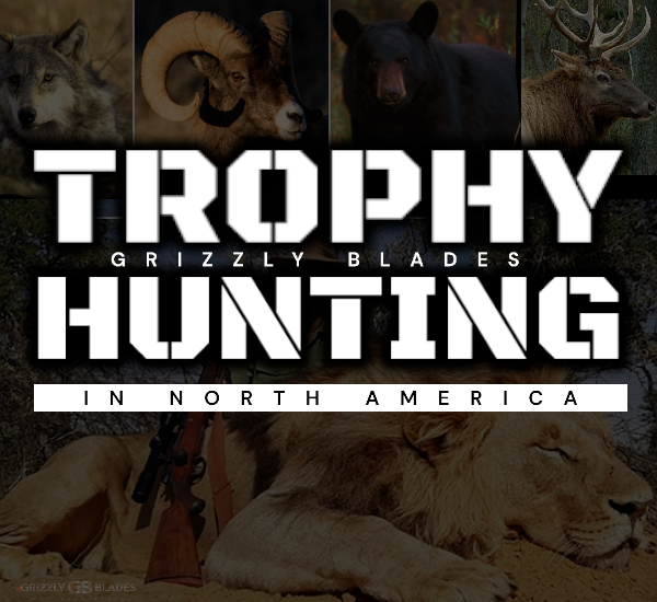 Trophy Hunting in North America 