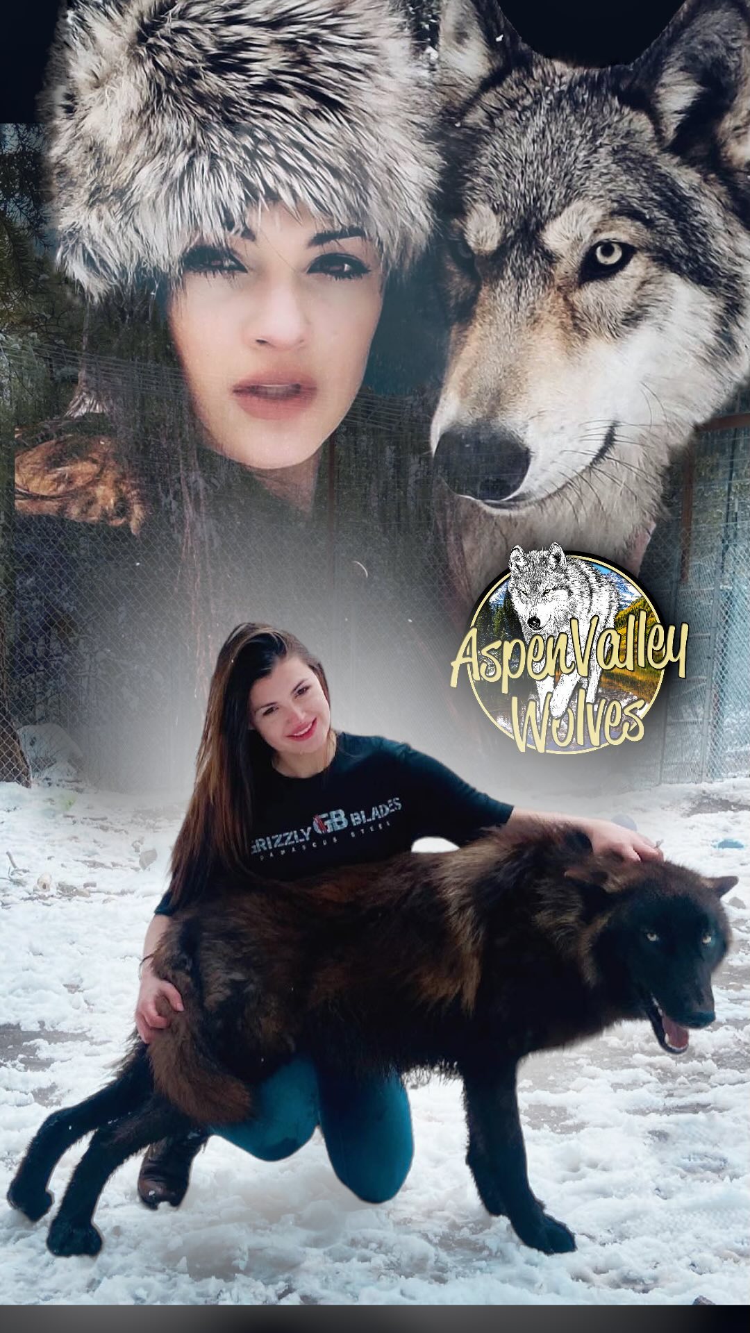Aspen Valley Wolves
