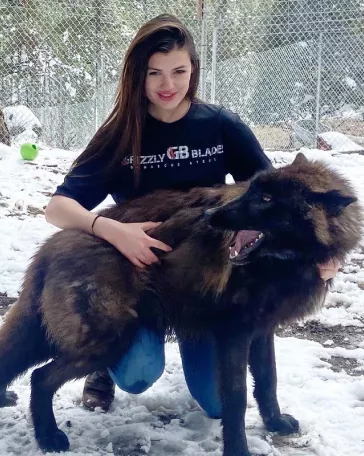 Aspen Valley Wolves
